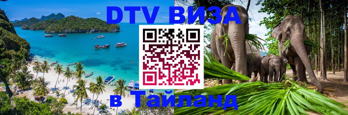 Цены на DTV визу в Таиланд — пакеты услуг, достаточно даже паспорта - Новокузнецк  19.11.2025 